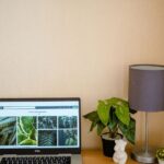 Tips for Creating a Cozy and Functional Home Office Space